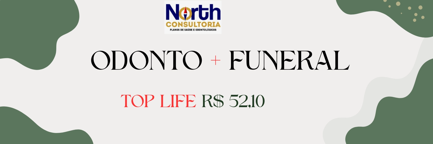 NORTH CONSULTORIA